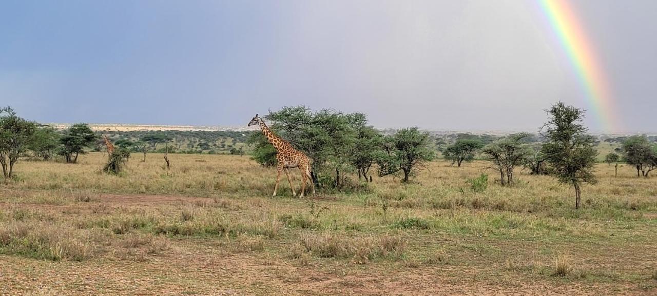 Hotel Zawadi Camp Serengeti-Savanne Exterior foto